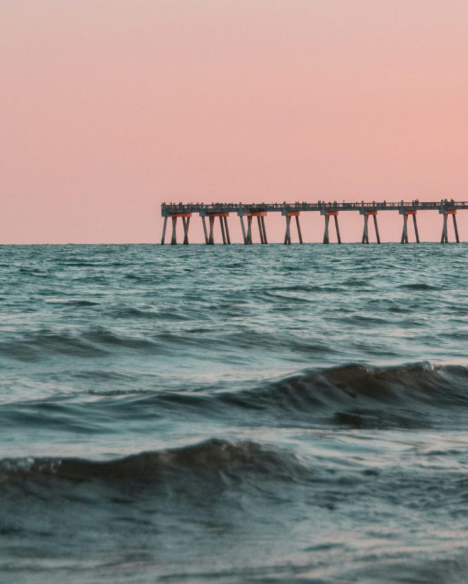 Pier 12 Investor Update